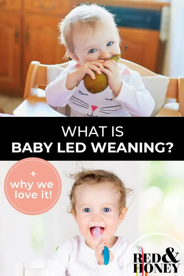 Pinterest pin with two images. First image is of a baby sitting in a high-chair eating a pear. Second image is of a baby putting a spoon into their mouth. Text overlay says, "What is Baby Led Weaning? + why we love it!"