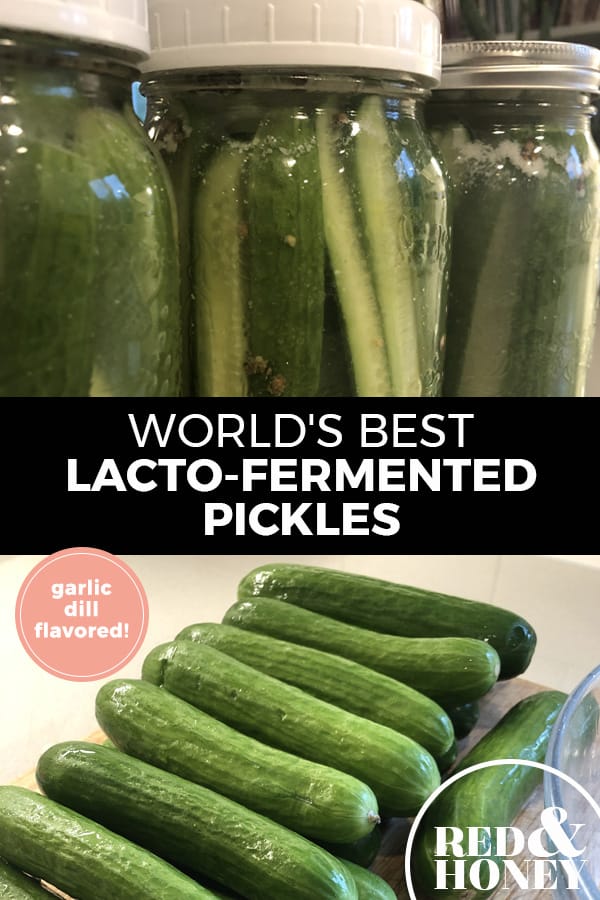 Best Fermented Dill Pickle Recipe Besto Blog