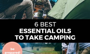 Pinterest pin with two images. Top image is a woman holding a cup of coffee sitting in the woods. Bottom image is of some kids holding sticks over a low fire. Text Overlay says: "6 Best Essential Oils to Take Camping"