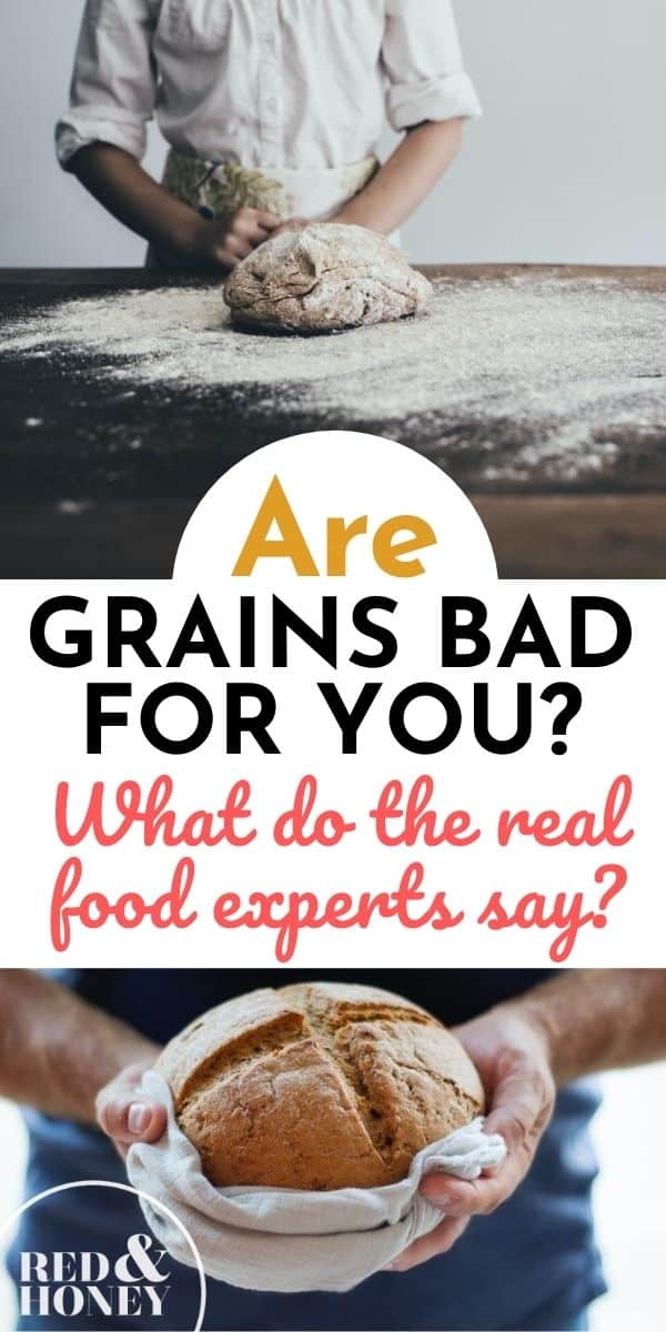 are-grains-bad-for-you-what-do-the-real-food-experts-say-red-and