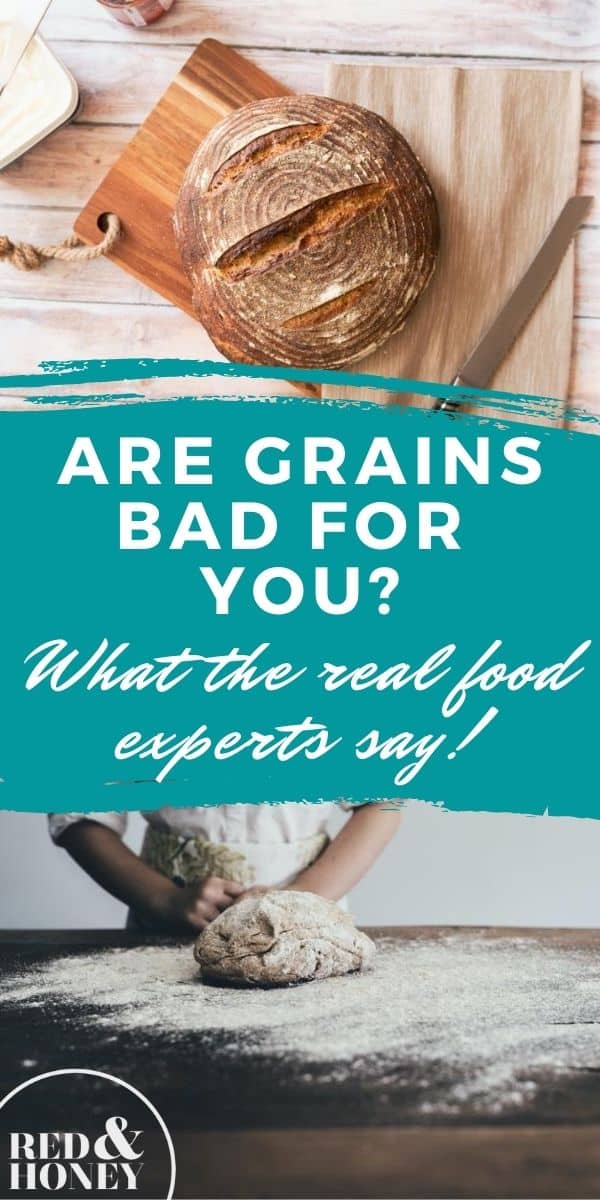 Are Grains Bad for You? (What Do the Real Food Experts Say?) Red and