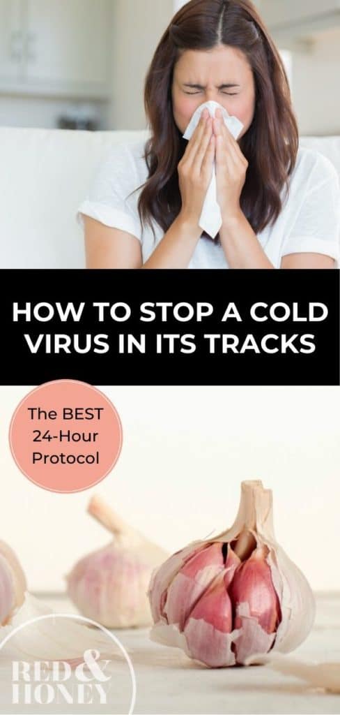 Collage of images: top with a woman blowing her nose with a white background, middle with a text overlay with words "how to stop a cold virus in its tracks: the best 24 hour protocol", and bottom with a closeup shot of a head of garlic.