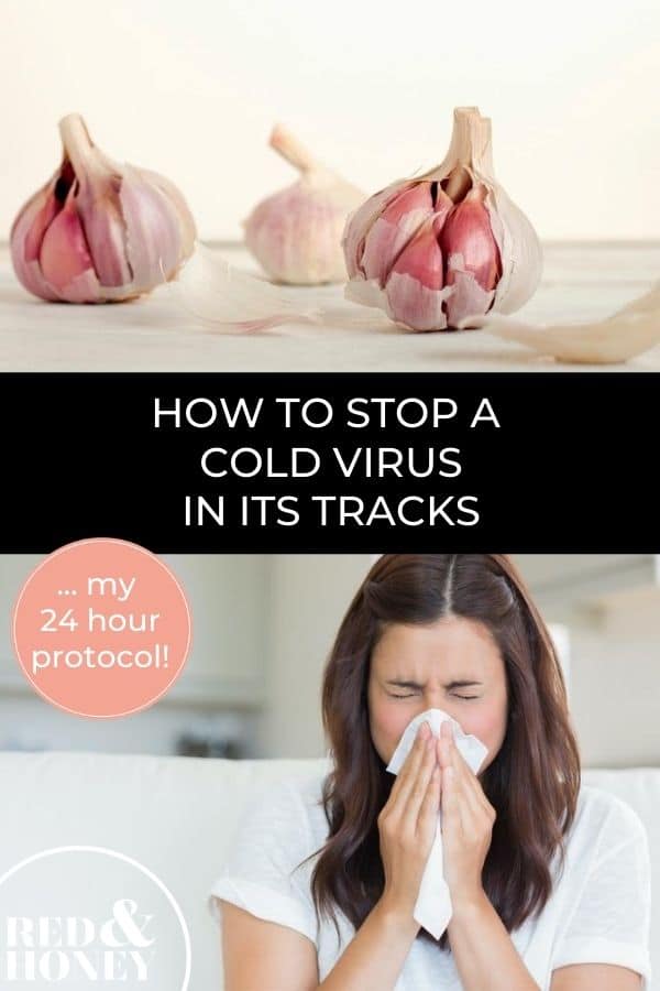 how-to-stop-a-cold-in-its-tracks-my-24-hour-protocol