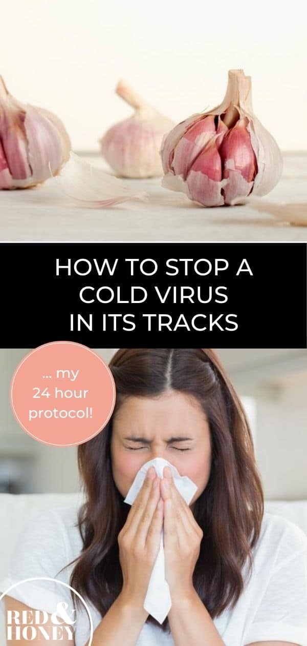 How to Stop a Cold in Its Tracks (My 24Hour Protocol)