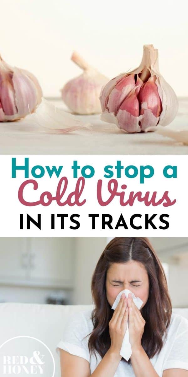 how-to-stop-a-cold-in-its-tracks-my-24-hour-protocol