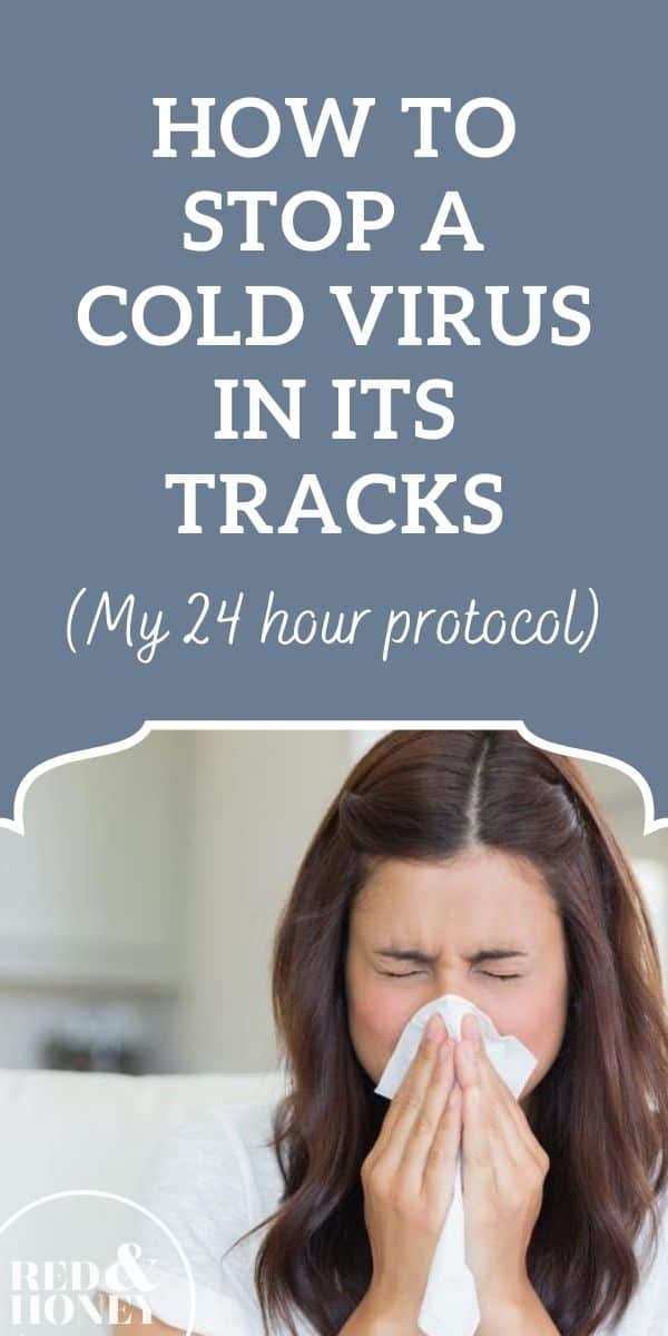 How to Stop a Cold in Its Tracks (My 24Hour Protocol)