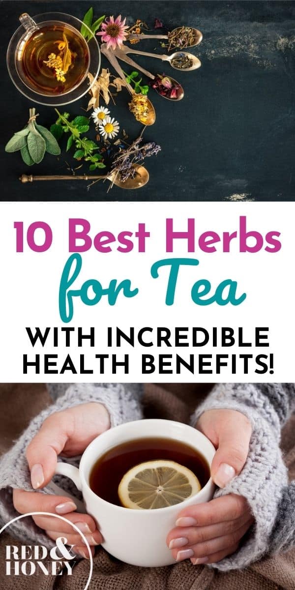 10 Best Herbs for Tea with Incredible Health Benefits