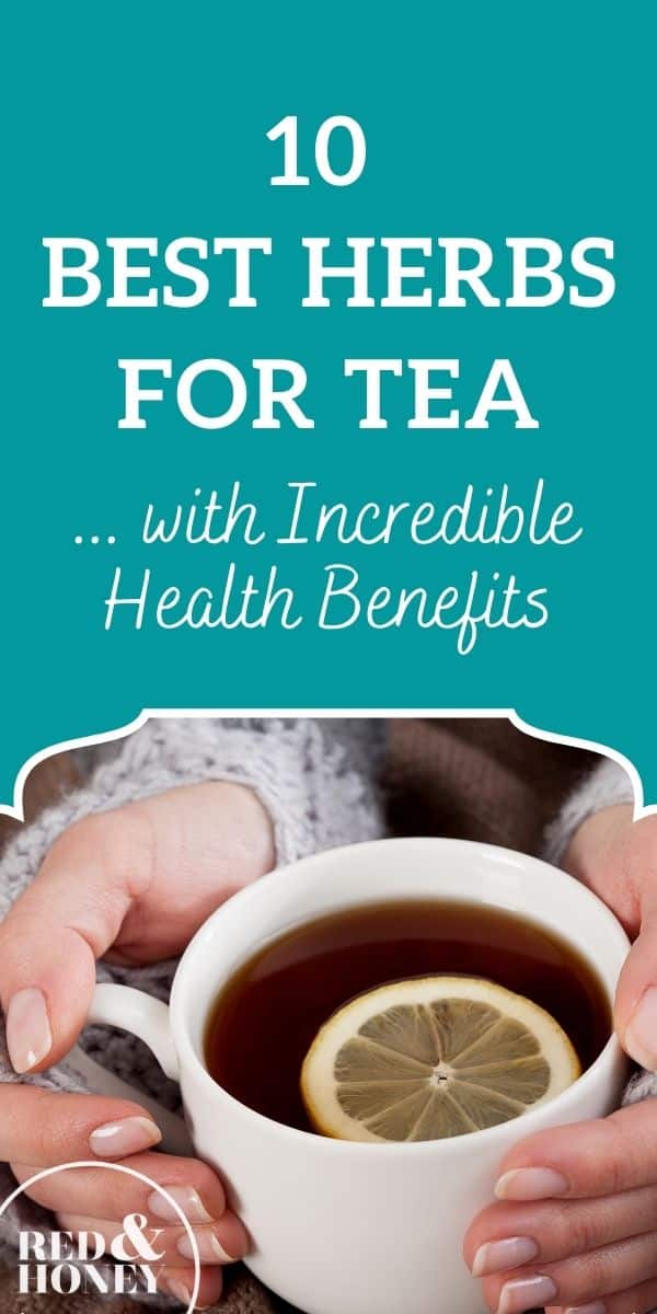 10 Best Herbs for Tea with Incredible Health Benefits