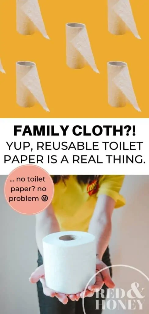 Collage of toilet paper-related images with text reading "Family Cloth?! Yup, Reusable Toilet is a Real Thing".