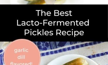 Pinterest Pin collage of pickles and all the ingredients. Text Overlay reads "The Best Lacto-Fermented Garlic Dill Pickle Recipe"
