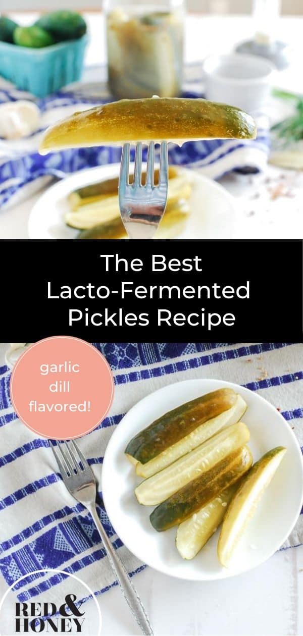 The Best Fermented Garlic Dill Pickles Recipe Red and Honey