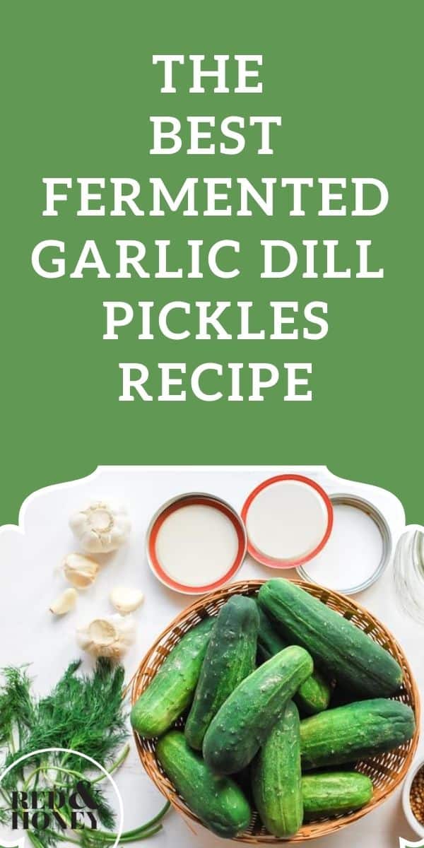 The Best Fermented Garlic Dill Pickles Recipe Red and Honey