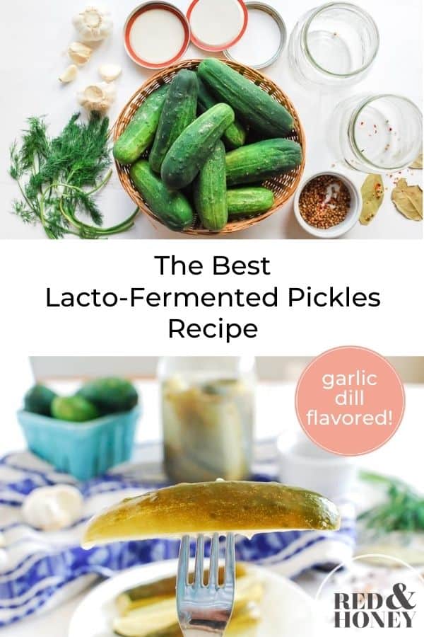 The Best Fermented Garlic Dill Pickles Recipe Red and Honey