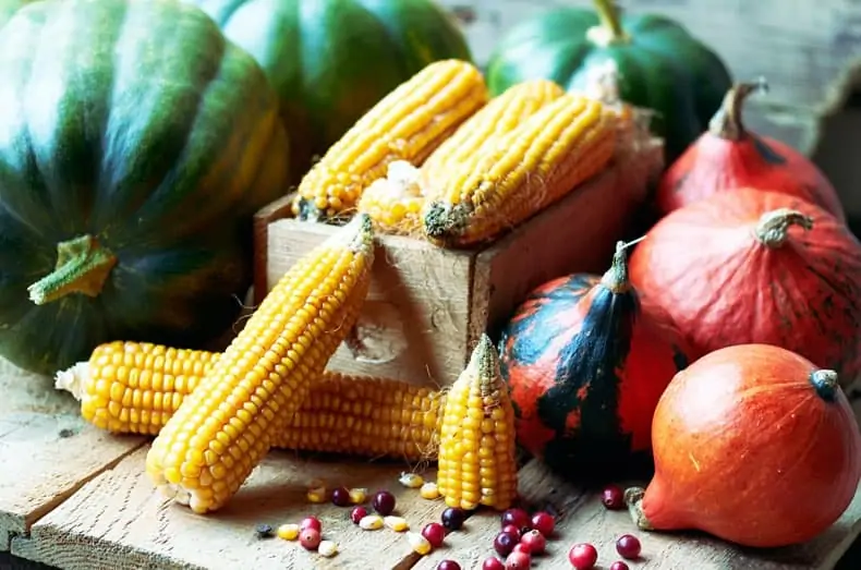 Image of gourds and corn on the cob arranged on a wooden table together.