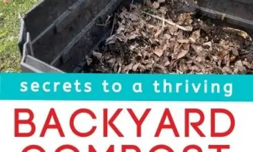 pinterest collage with two images and a text overlay. one image is of a child standing next to a backyard compost, and the other is one a woman bent over gardening in an open space.