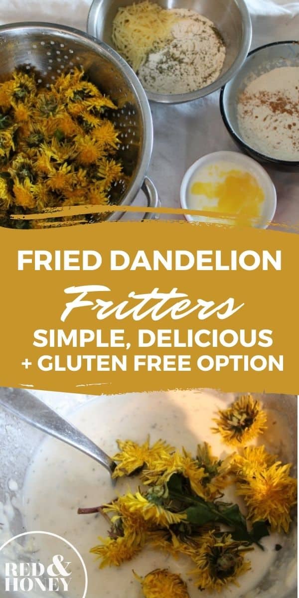 Fried Dandelion Flower Fritters (GlutenFree Optional) Red and Honey