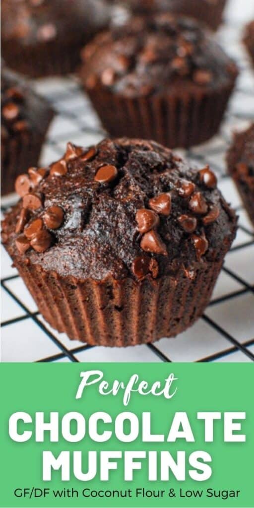 a pinterest image with a close up shot of a coconut flour chocolate muffin with a green section with white text with the recipe title: Perfect Chocolate Muffins. GF/DF with coconut flour and low sugar.