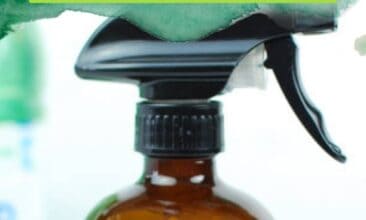 pinterest image of diy mosquito repellent spray in a glass amber bottle with a label reading "bug off", with text overlay